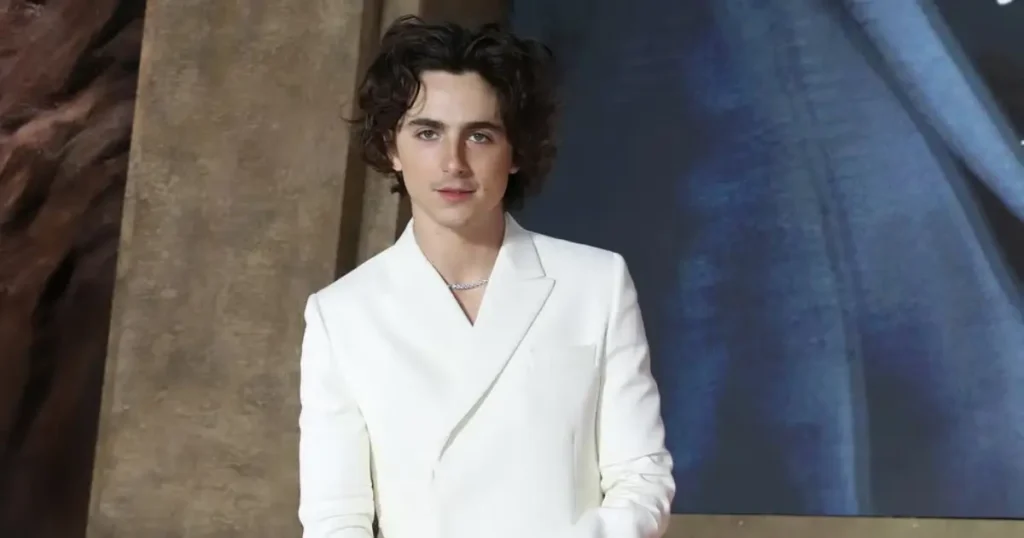 timothee chalamet upcoming projects